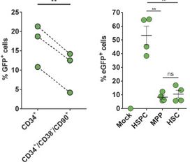 CRISPR技術在鐮刀型細胞貧血癥中的應用研究與發展前景